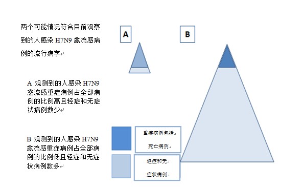 符合目前观察到的人感染H7N9禽流感流行病学的两种可能情形