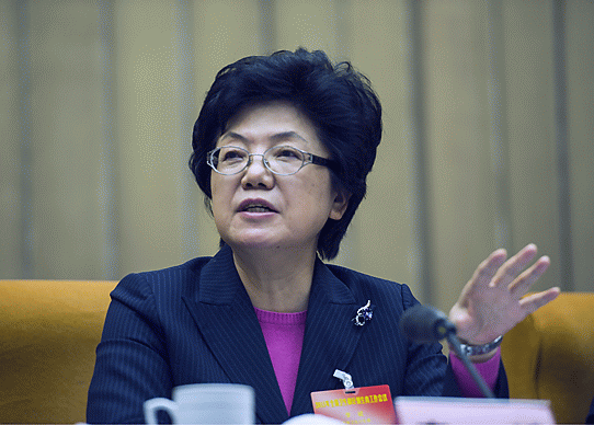 李斌主任出席会议并代表委党组作工作报告
