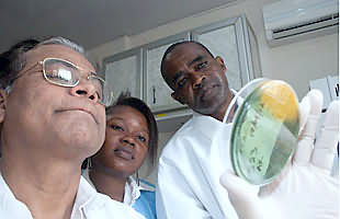 设在孟加拉国的国际腹泻病研究中心微生物学家Azharul Islam Khan博士、实验室科学家Musu Abu和塞拉利昂唯一的寄生虫病学家Abdul Kamara博士观察从弗里敦一位病人身上采集的标本长出的霍乱菌黄色花