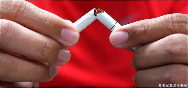 烟草导致五分之一的冠心病死亡