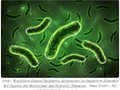 与抑郁症相关的肠漏（Leaky gut）：微生物群诱导的表观遗传变化的新见解
